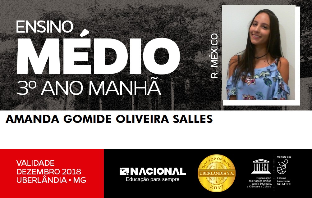  Amanda Gomide Oliveira Salles 