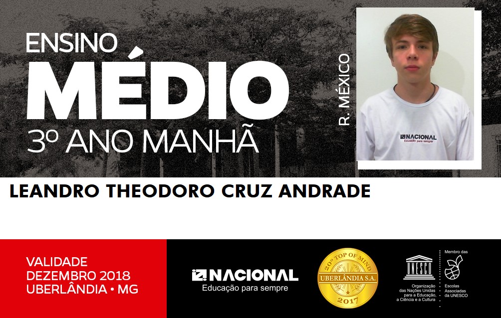  Leandro Theodoro Cruz Andrade 