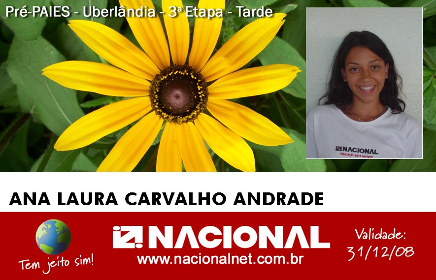  Ana Laura Carvalho Andrade.jpg