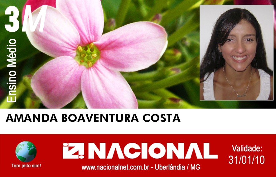  AMANDA BOAVENTURA COSTA 