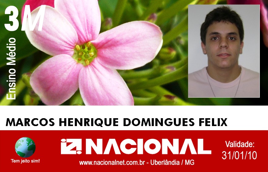  Marcos Henrique Domingues Felix.jpg
