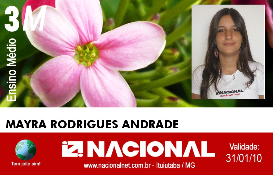  Mayra Rodrigues Andrade 