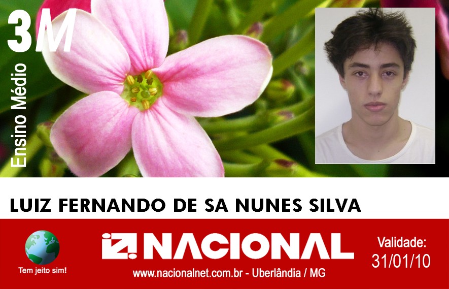  Luiz Fernando de Sa Nunes Silva.jpg