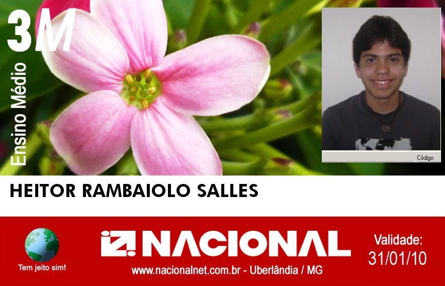 HEITOR RAMBAIOLO SALLES 