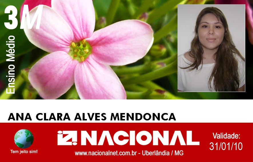  Ana Clara Alves Mendonca 