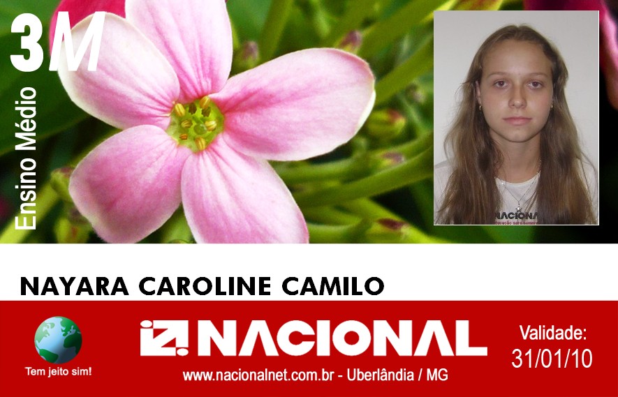  Nayara Caroline Camilo 