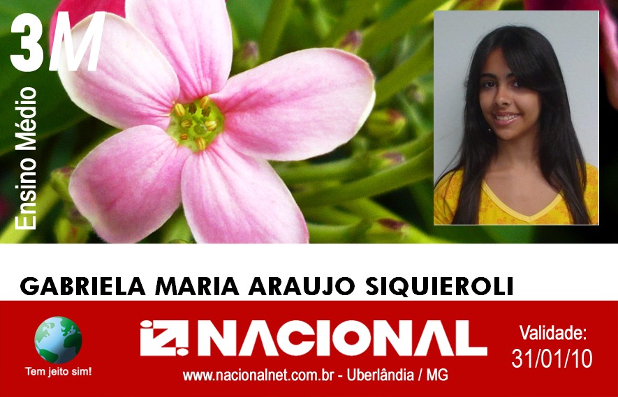  Gabriela Maria Araujo Siquieroli 