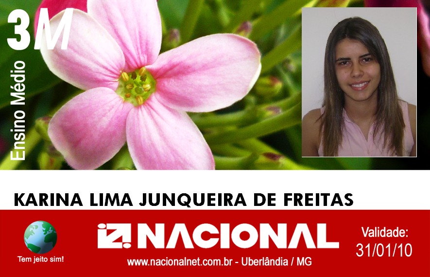  Karina Lima Junqueira de Freitas 