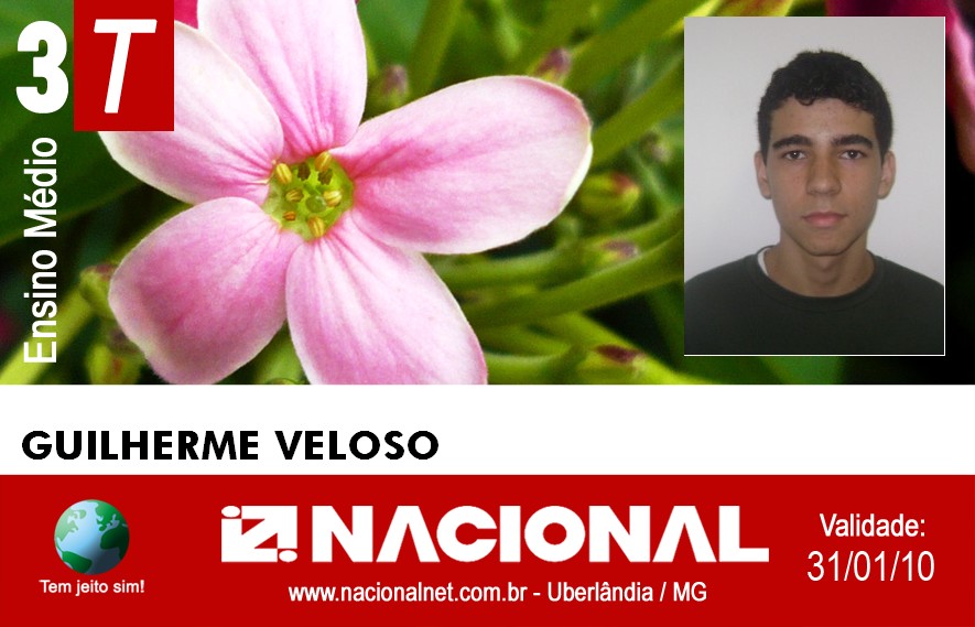  Guilherme Veloso 