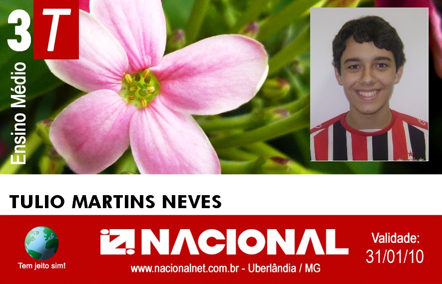  Tulio Martins Neves 
