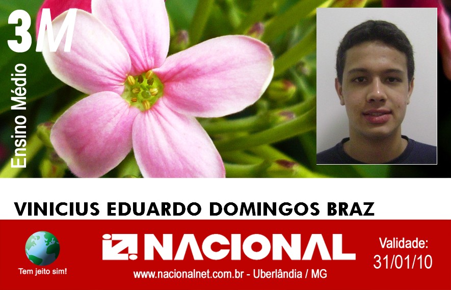  Vinicius Eduardo Domingos Braz 