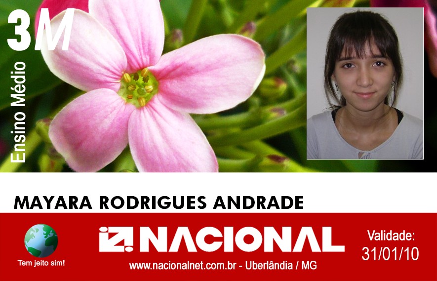  Mayara Rodrigues Andrade 