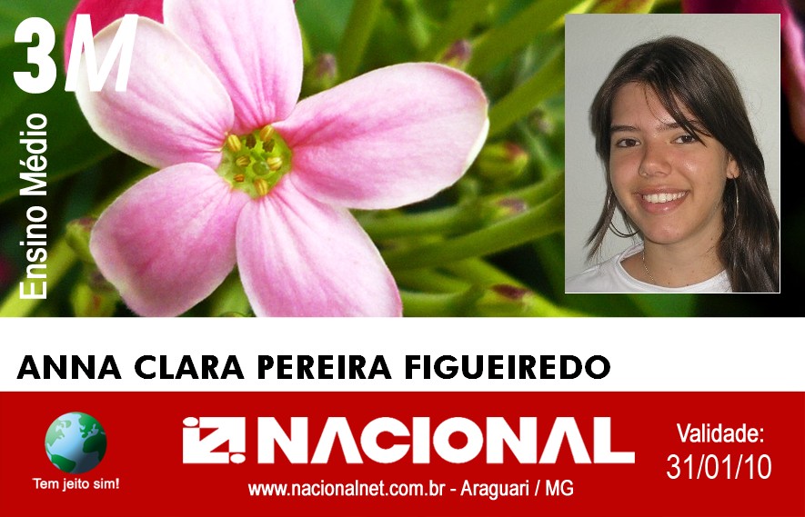  Anna Clara Pereira Figueiredo 