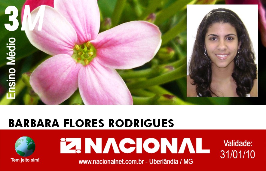  Barbara Flores Rodrigues 