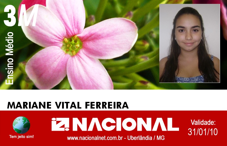  Mariane Vital Ferreira 