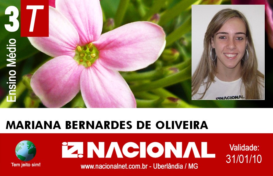  Mariana Bernardes de Oliveira 