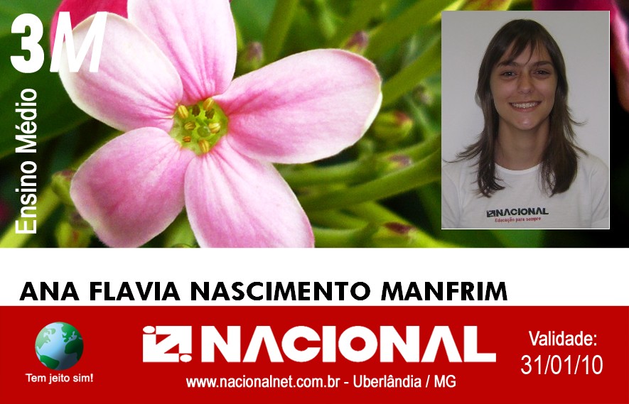  Ana Flavia Nascimento Manfrim 