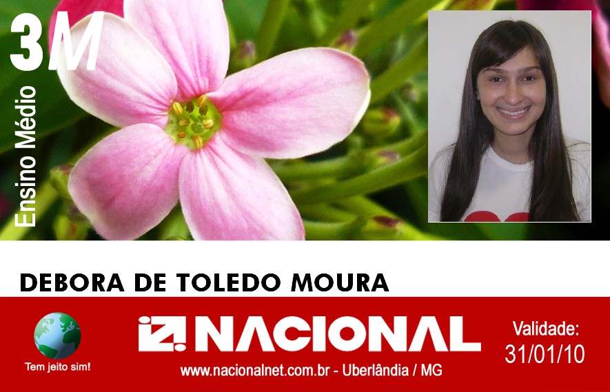  Debora de Toledo Moura 