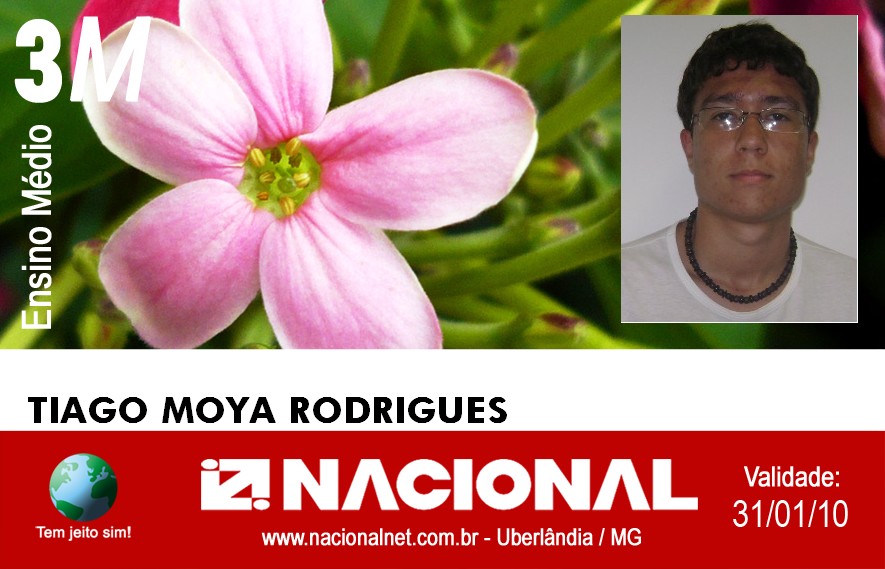  Tiago Moya Rodrigues 