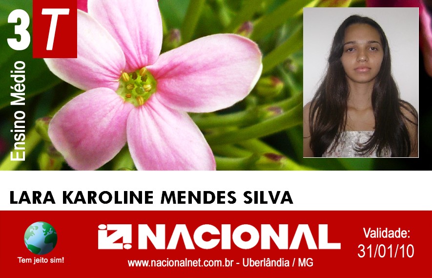  Lara Karoline Mendes Silva 