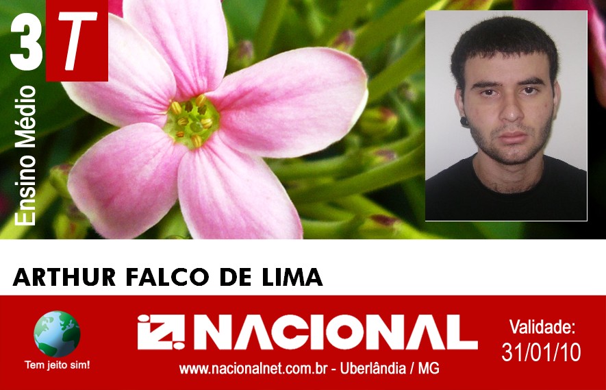  Arthur Falco de Lima 