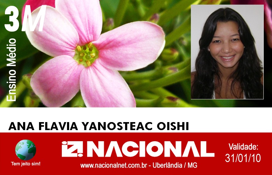  Ana Flavia Yanosteac Oishi 