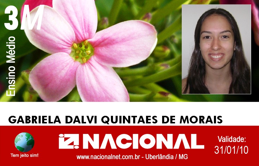  Gabriela Dalvi Quintaes de Morais 