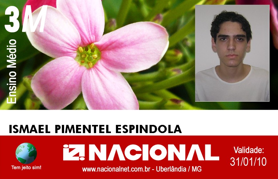  Ismael Pimentel Espindola 