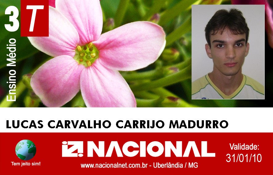  Lucas Carvalho Carrijo Madurro 