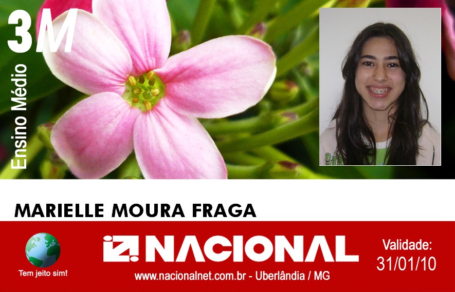  Marielle Moura Fraga 