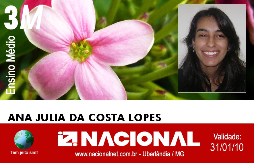  Ana Julia da Costa Lopes 