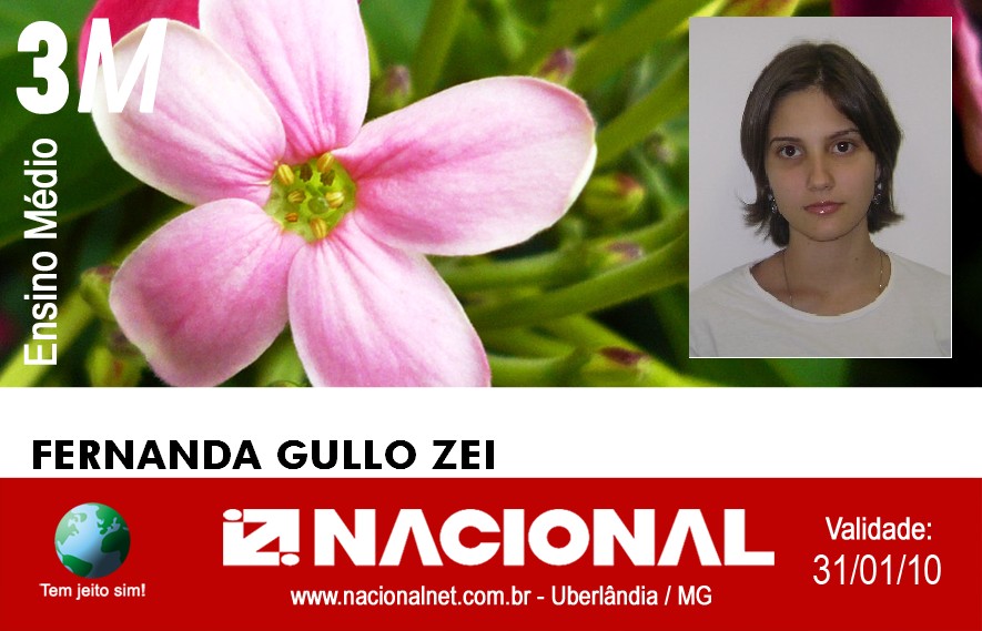  Fernanda Gullo Zei 